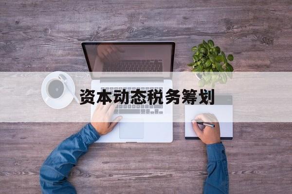 资本动态税务筹划(资本动态税务筹划案例)博乐市