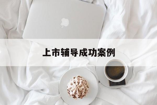 上市辅导成功案例(上市辅导成功后肯定会上市吗)博乐市